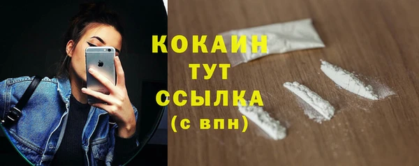 стафф Арсеньев
