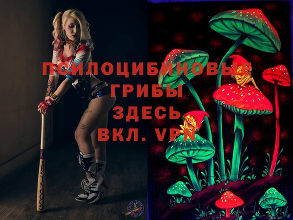 ешки Армянск