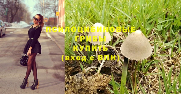 стафф Арсеньев