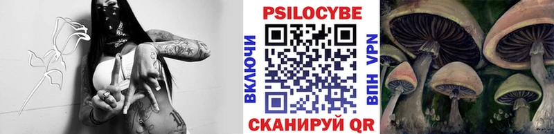 хочу   Козьмодемьянск  Галлюциногенные грибы прущие грибы 